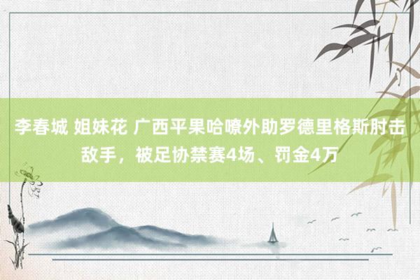 李春城 姐妹花 广西平果哈嘹外助罗德里格斯肘击敌手，被足协禁赛4场、罚金4万